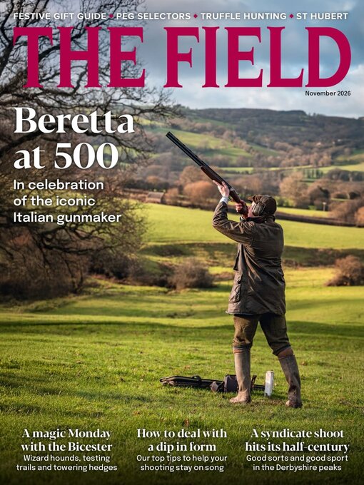 Cover image for The Field